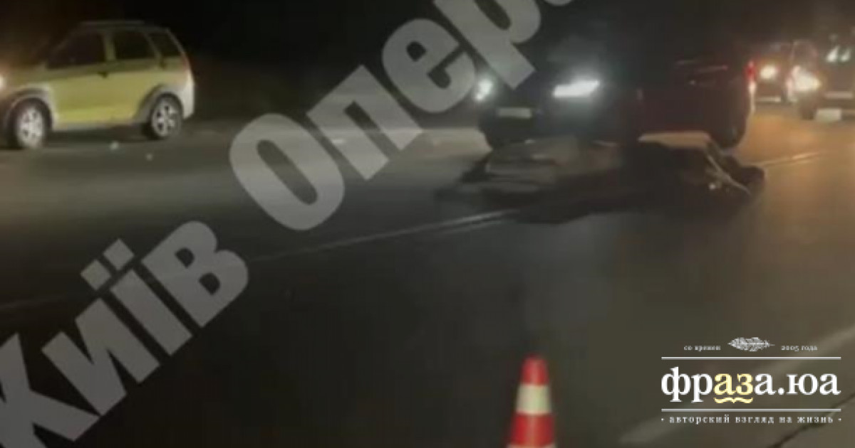 На трасі під Києвом автомобіль збив лося
