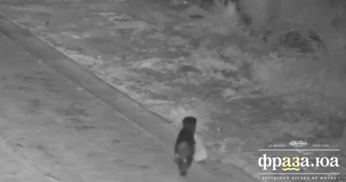В Італії собака навчилася викидати сміття – це засмутило поліцію.
